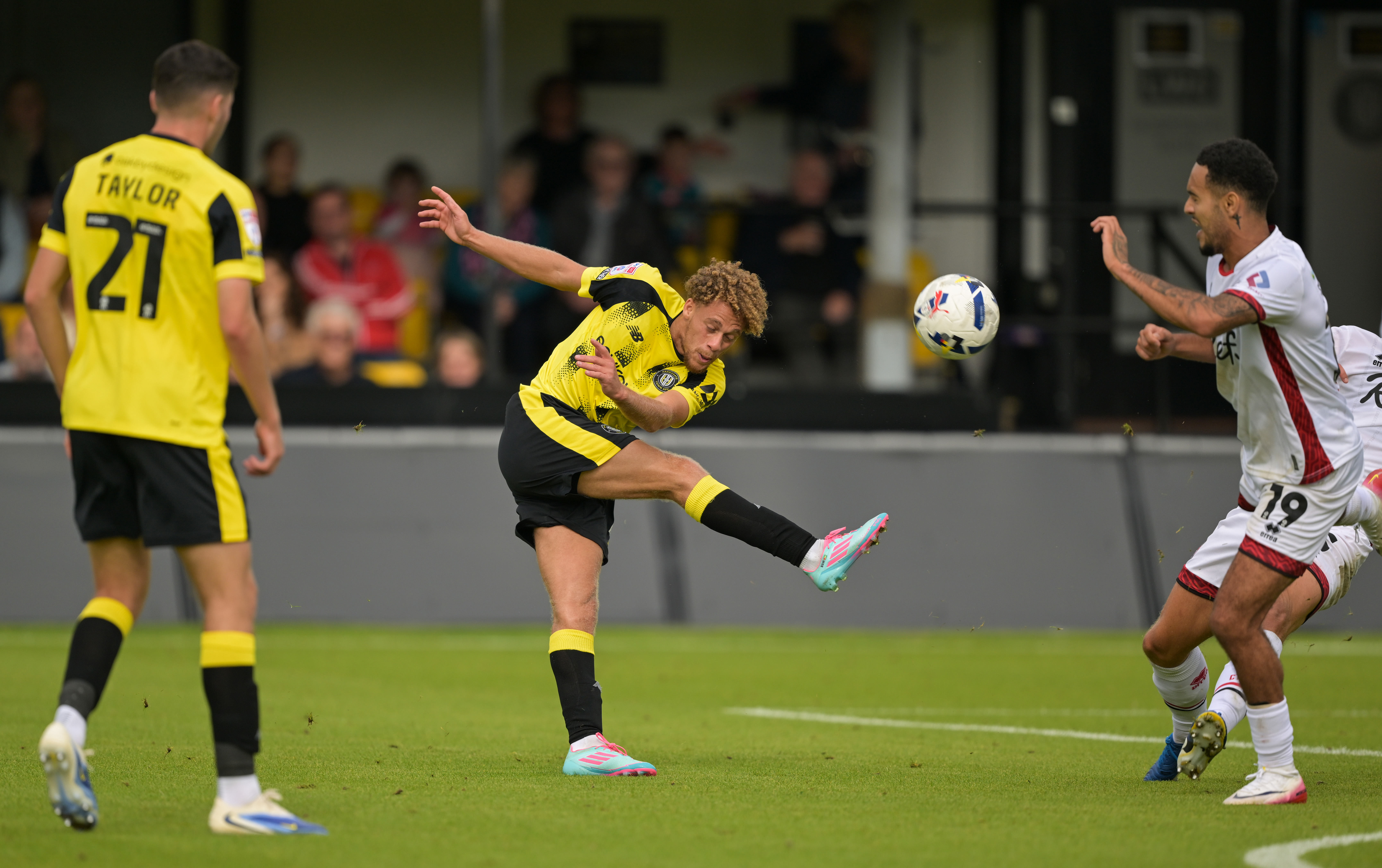 Stephen Duke-McKenna