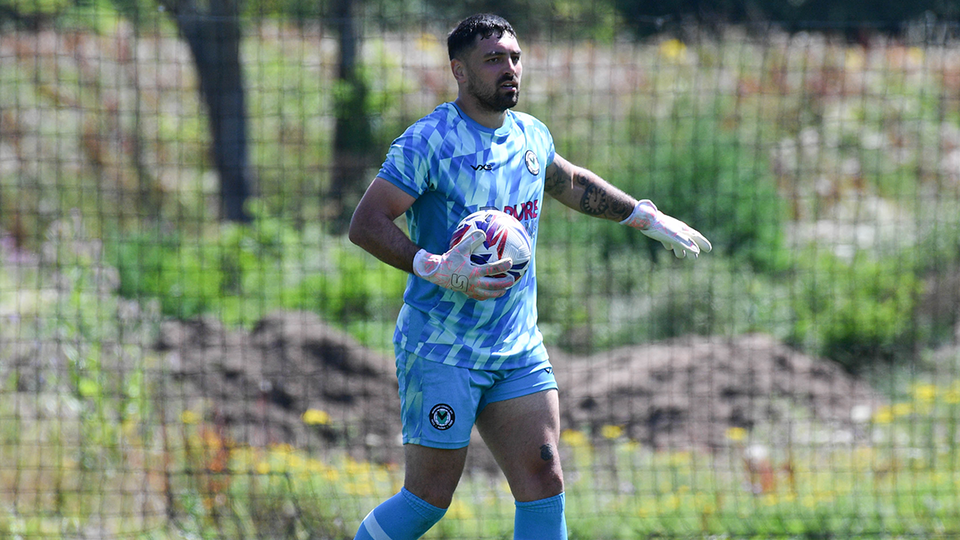 gallery | 