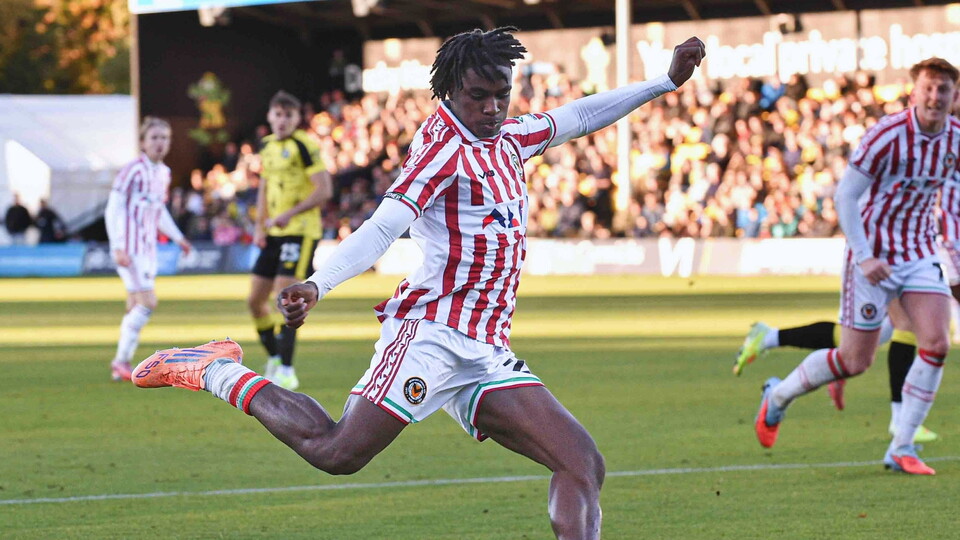 Match Gallery Harrogate 