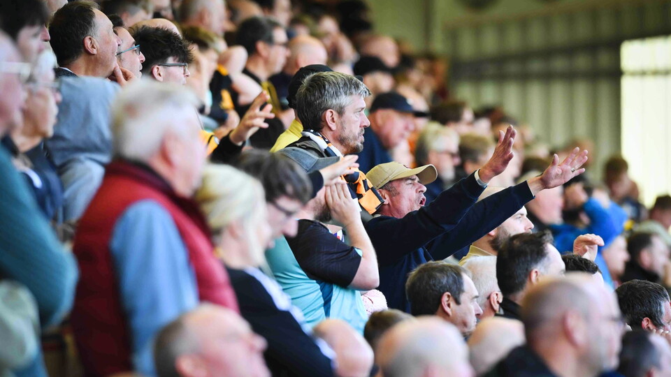 fan gallery | Cheltenham (A)