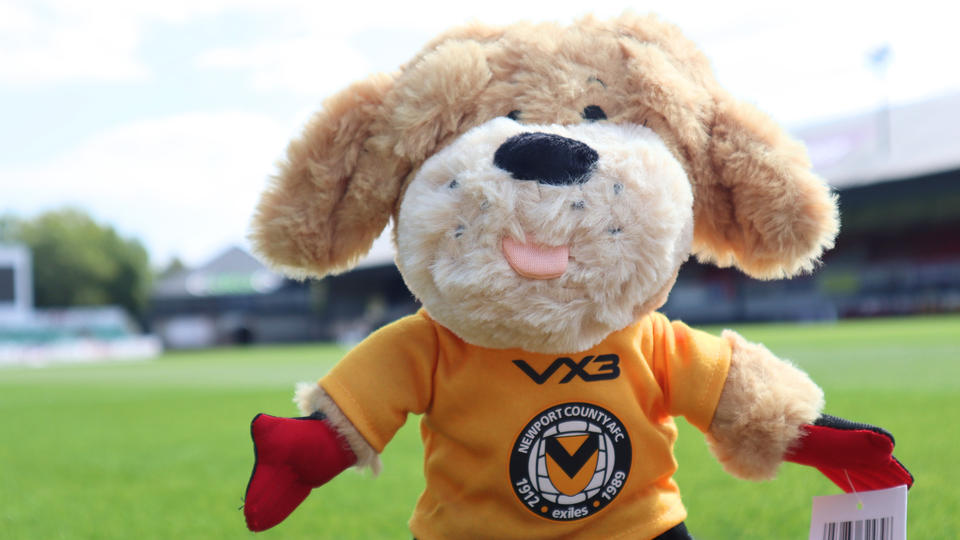 spytty teddy