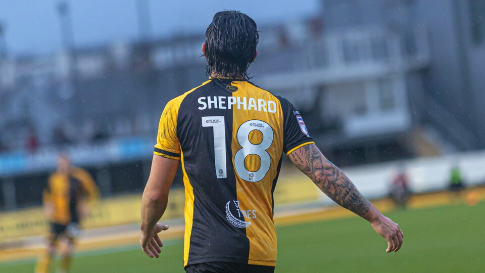 Shephard